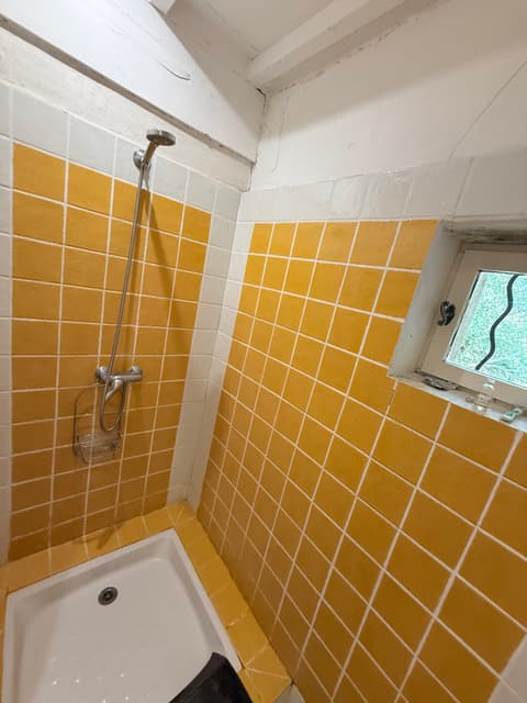 Yellow bathroom with shower
