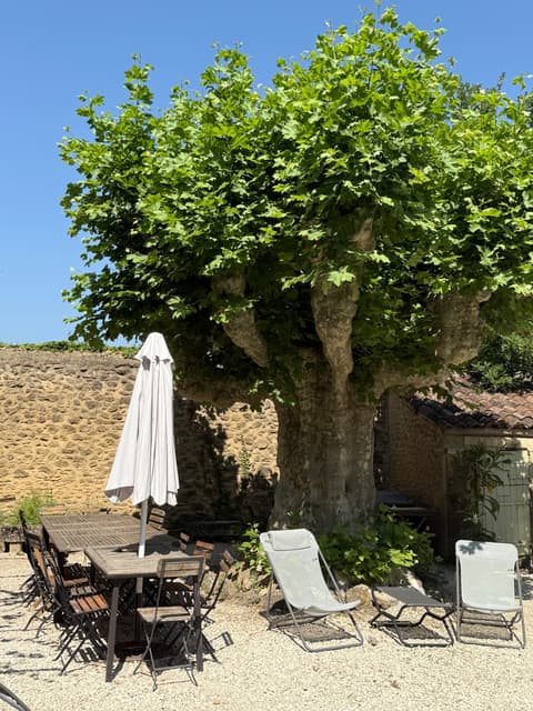 Charming courtyard corner