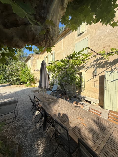 Courtyard and potted plants