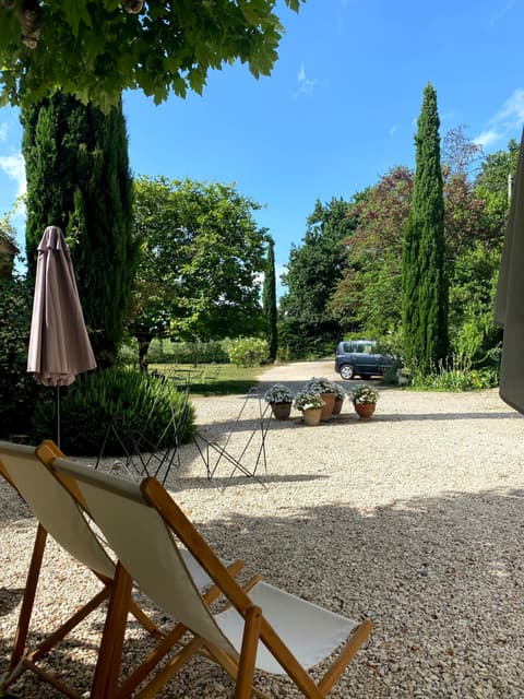 Courtyard with hanging lights