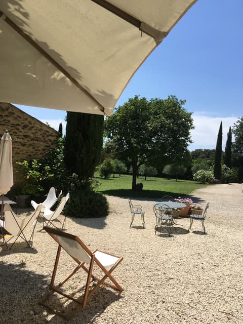 Courtyard garden detail