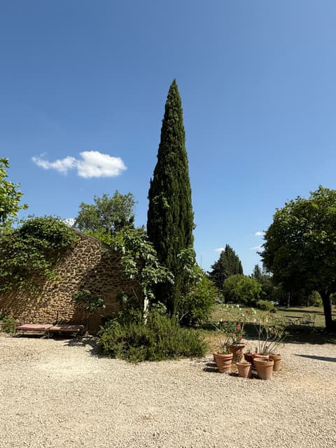 Shaded garden seating area