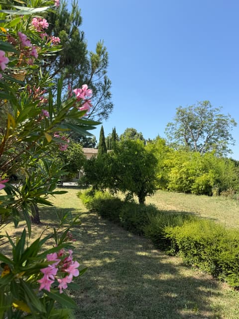 Garden greenery and flowers