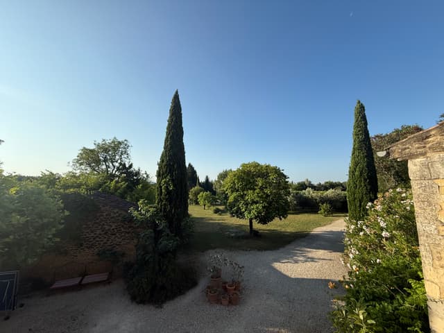 Estate garden and pine trees