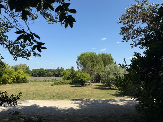 Gardens surrounding the property