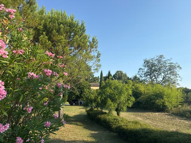 Peaceful garden corner