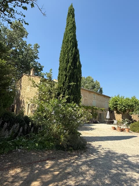Provençal garden landscape