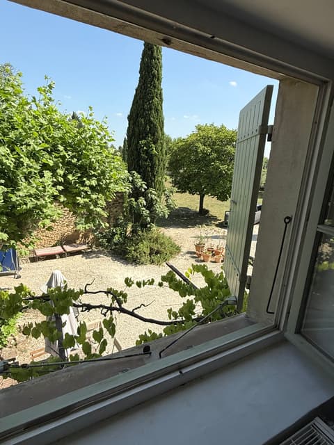 Garden in full bloom