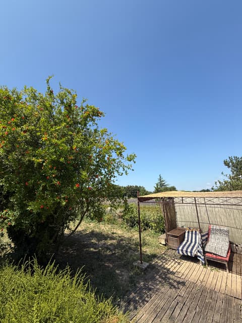 Garden area near the pool