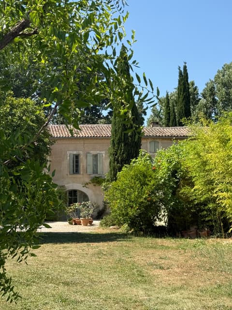 Estate view with pine trees