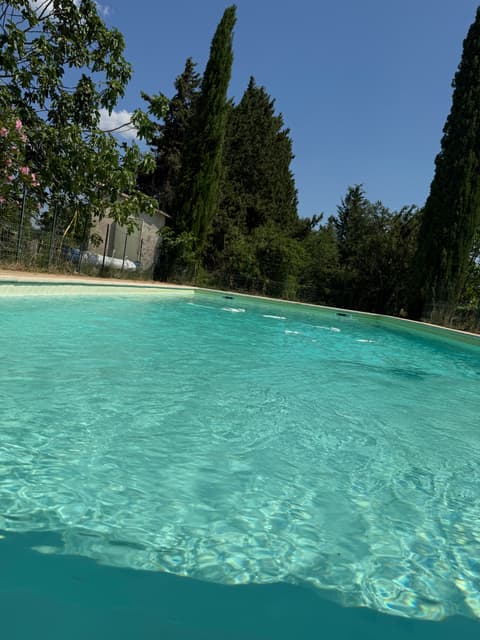 Swimming pool and shaded seating
