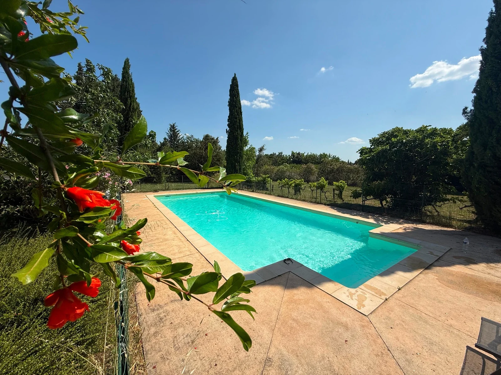 Pool overview from above