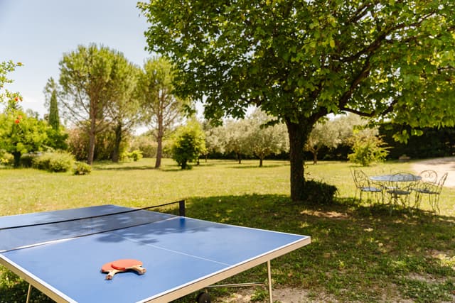 Table-tennis table in the landscaped garden